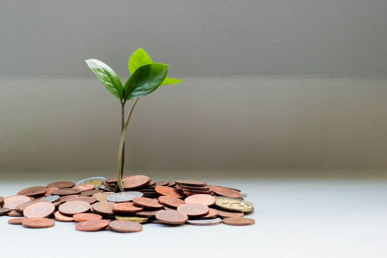 visuel sur la finance durable