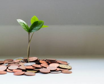 visuel sur la finance durable