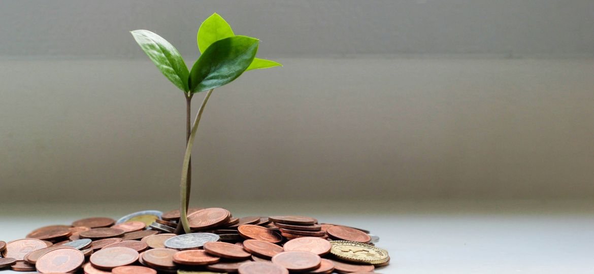 visuel sur la finance durable
