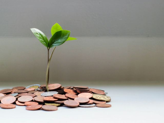 visuel sur la finance durable