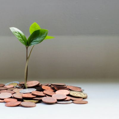 visuel sur la finance durable